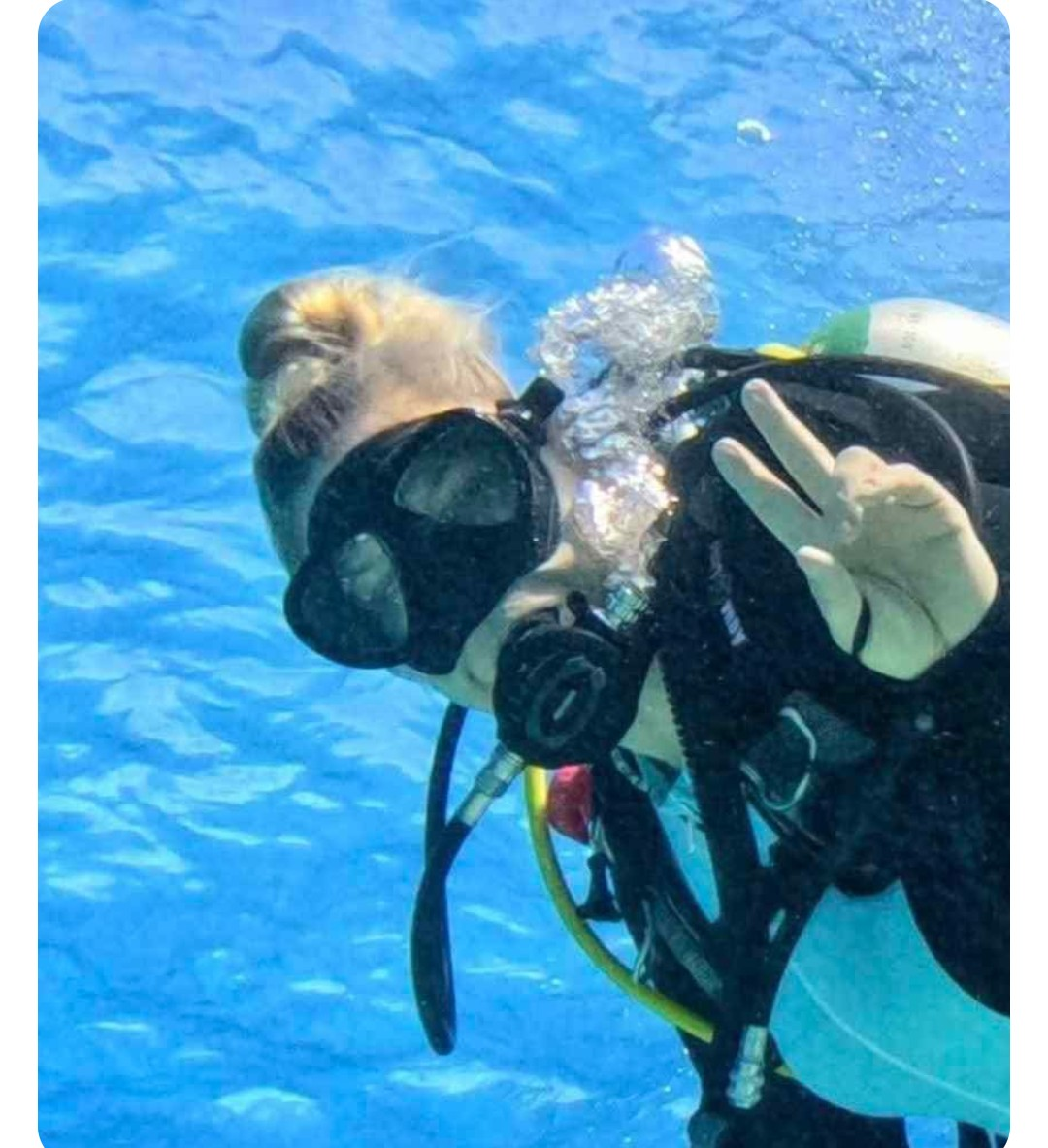 Farrah B. diving